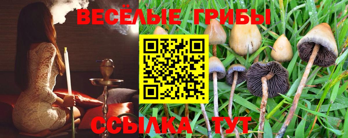 Псилоцибиновые грибы Magic Shrooms  Вход с VPN  Родники  Псилоцибиновые грибы ЛСД 