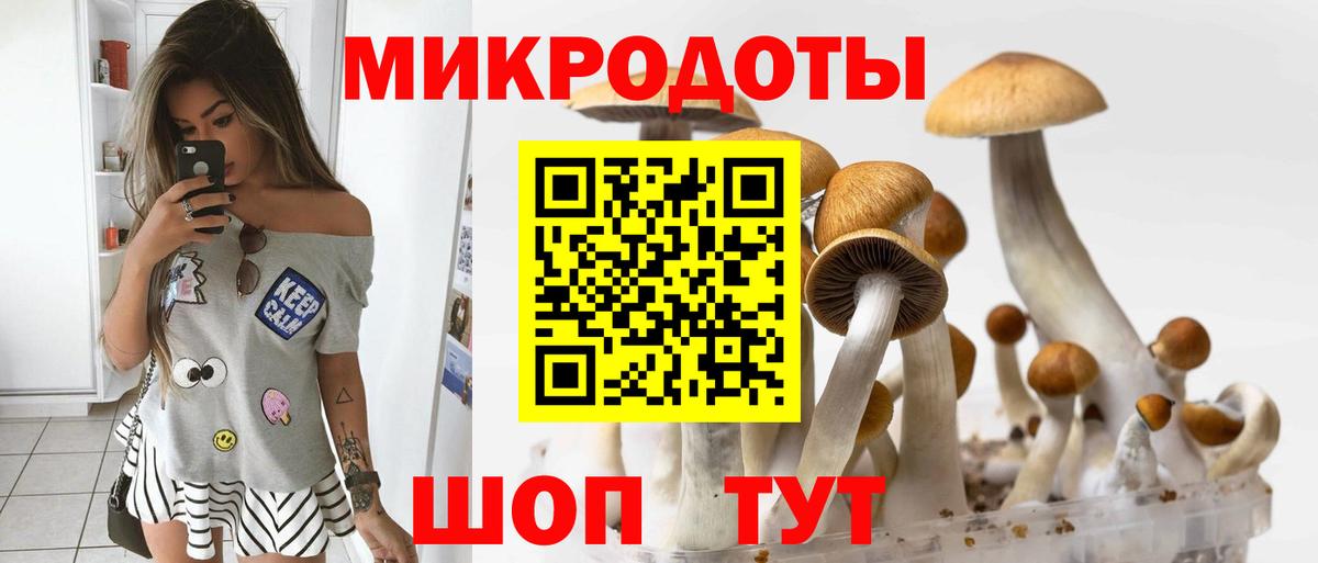 Галлюциногенные грибы GOLDEN TEACHER Родники